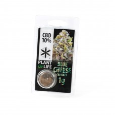 Blue Cheese pollen 10%